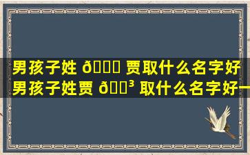 男孩子姓 🐈 贾取什么名字好（男孩子姓贾 🐳 取什么名字好一点）